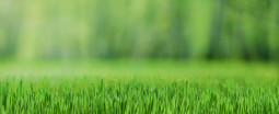 slider_1_bg_01.jpg